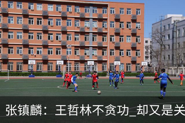 张镇麟：王哲林不贪功 却又是关键时刻能站出来的人 队长当之无愧