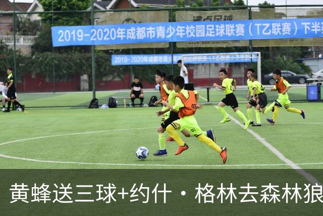 黄蜂送三球+约什·格林去森林狼 换里德+1首轮+3互换+3次轮